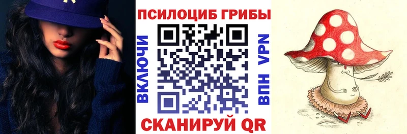 OMG маркетплейс Каменка Псилоцибиновые грибы Psilocybe закладки