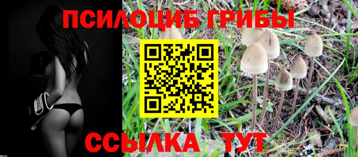 Галлюциногенные грибы ЛСД  Вход с VPN  Каменка 