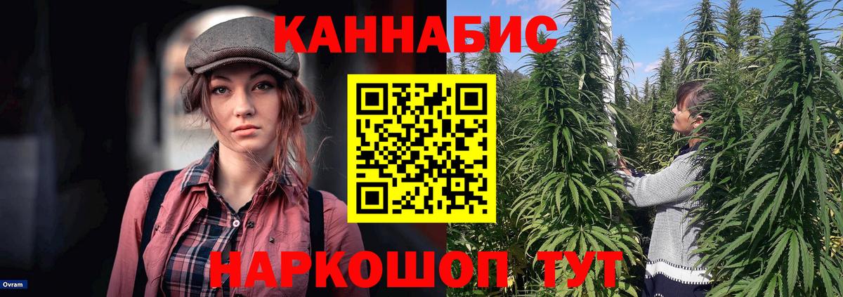Шишки марихуана сатива  Вход с VPN  Каннабис марихуана  Канабис план  Конопля White Widow  Каменка 